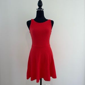*Barely worn* H&M Red Skater Dress